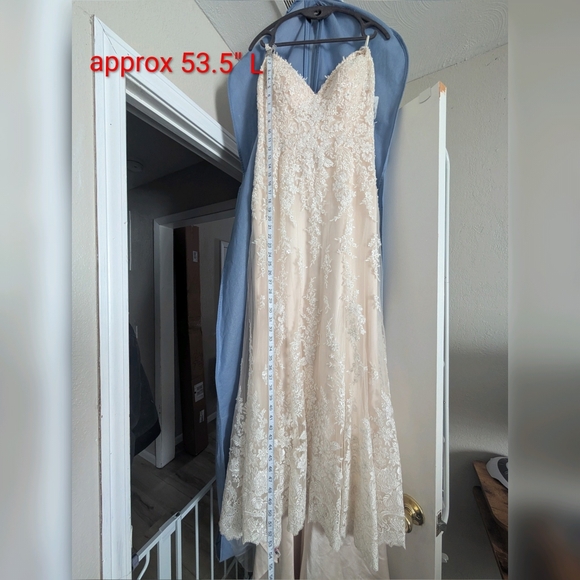 Maggie Sottero Nola Lace Wedding Dress - Picture 11 of 17